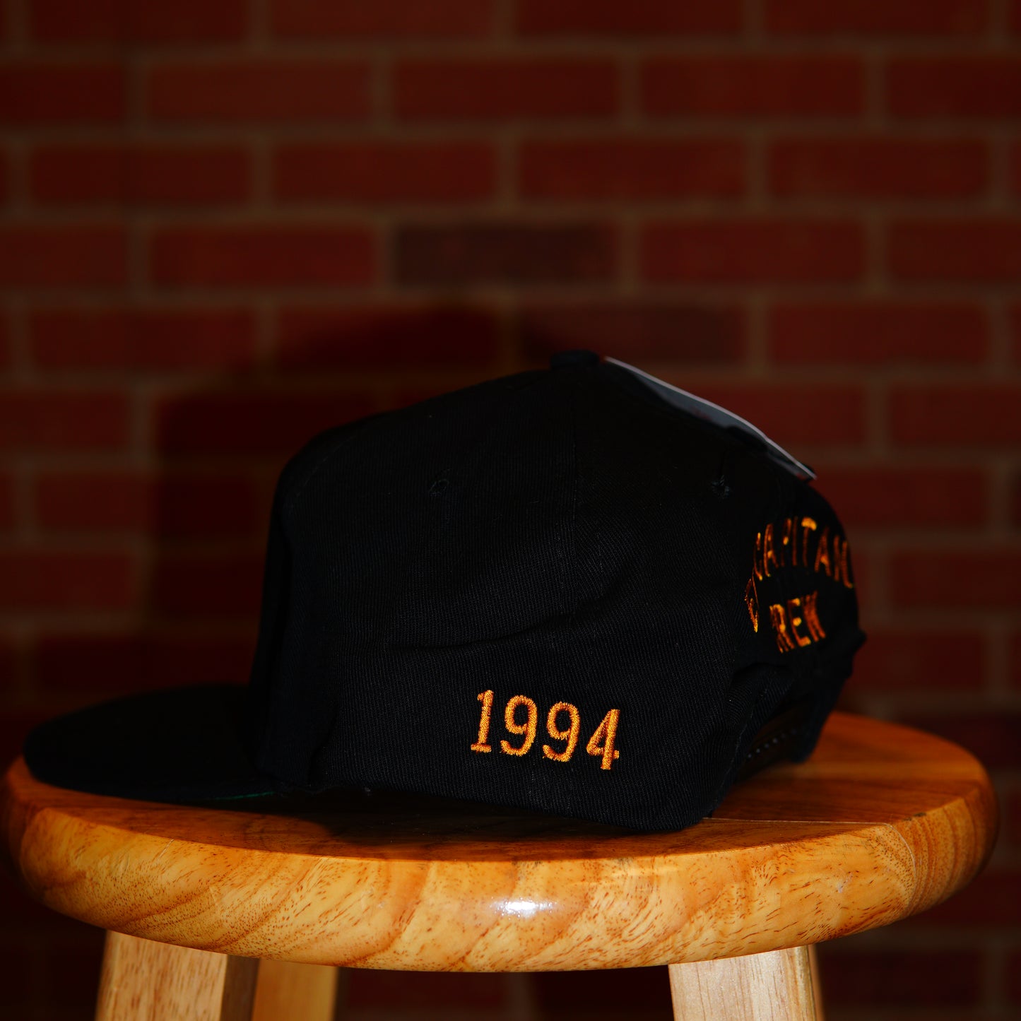 VTG 1994 Disney's The Lion King El Capitan Theater Snapback Hat