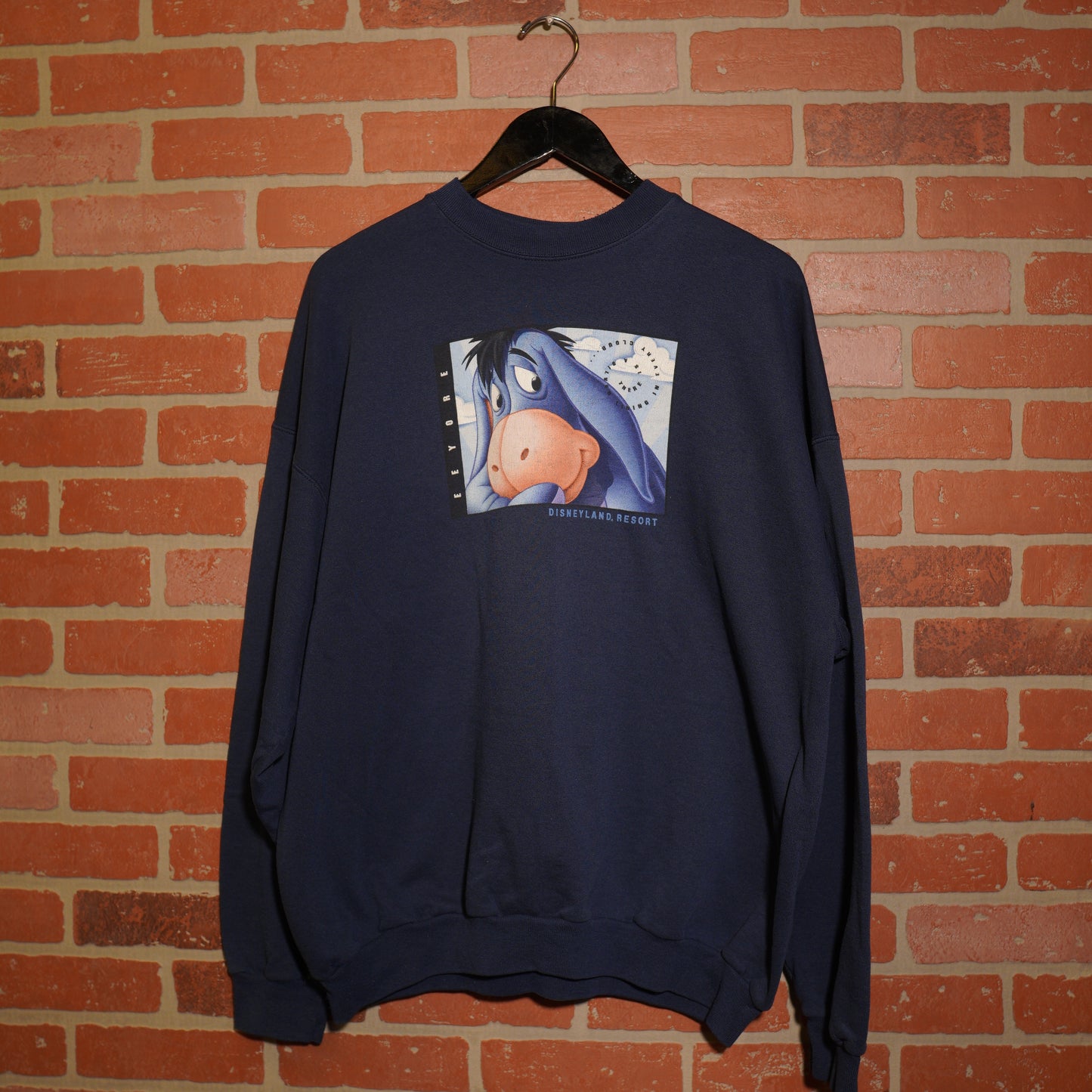 VTG Disneyland Eeyore Crewneck