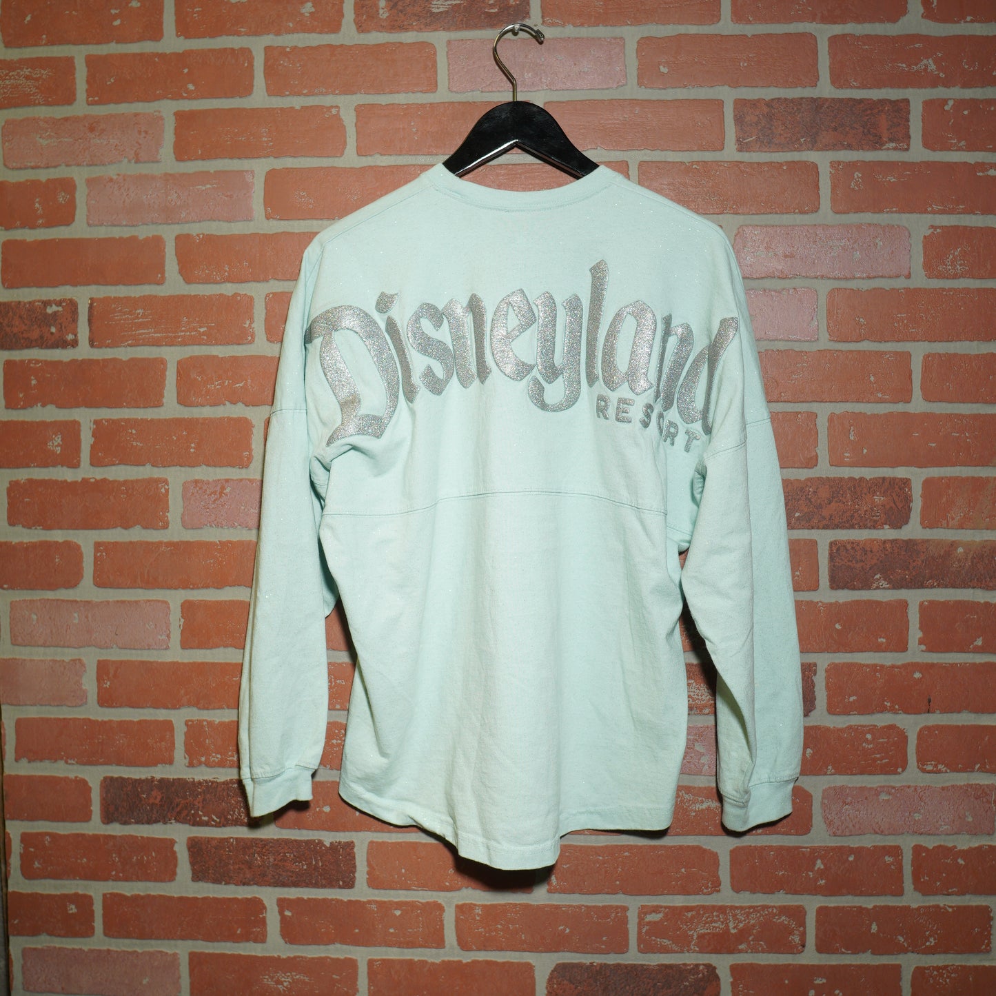 Disneyland Teal Spirit Jersey