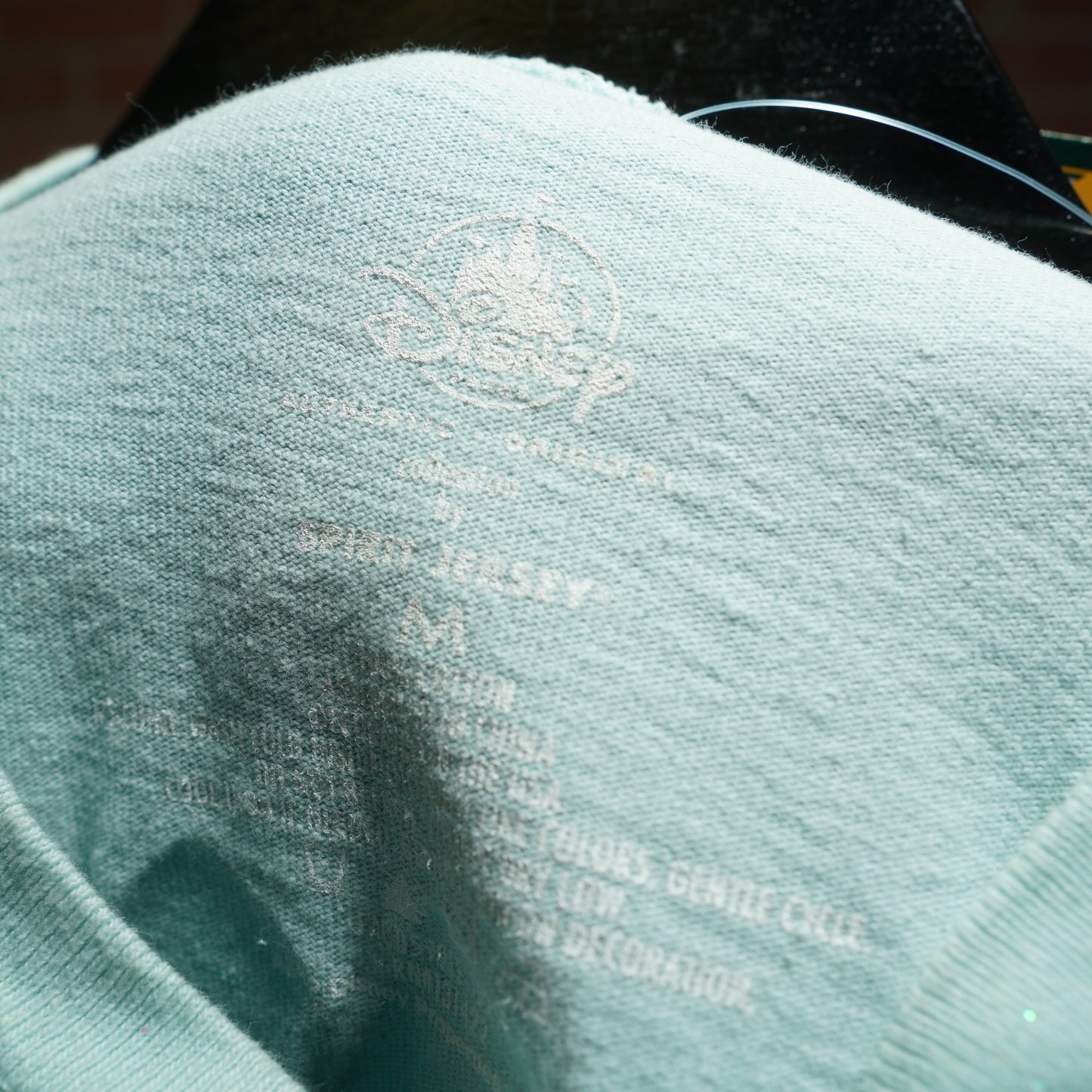 Disneyland Teal Spirit Jersey