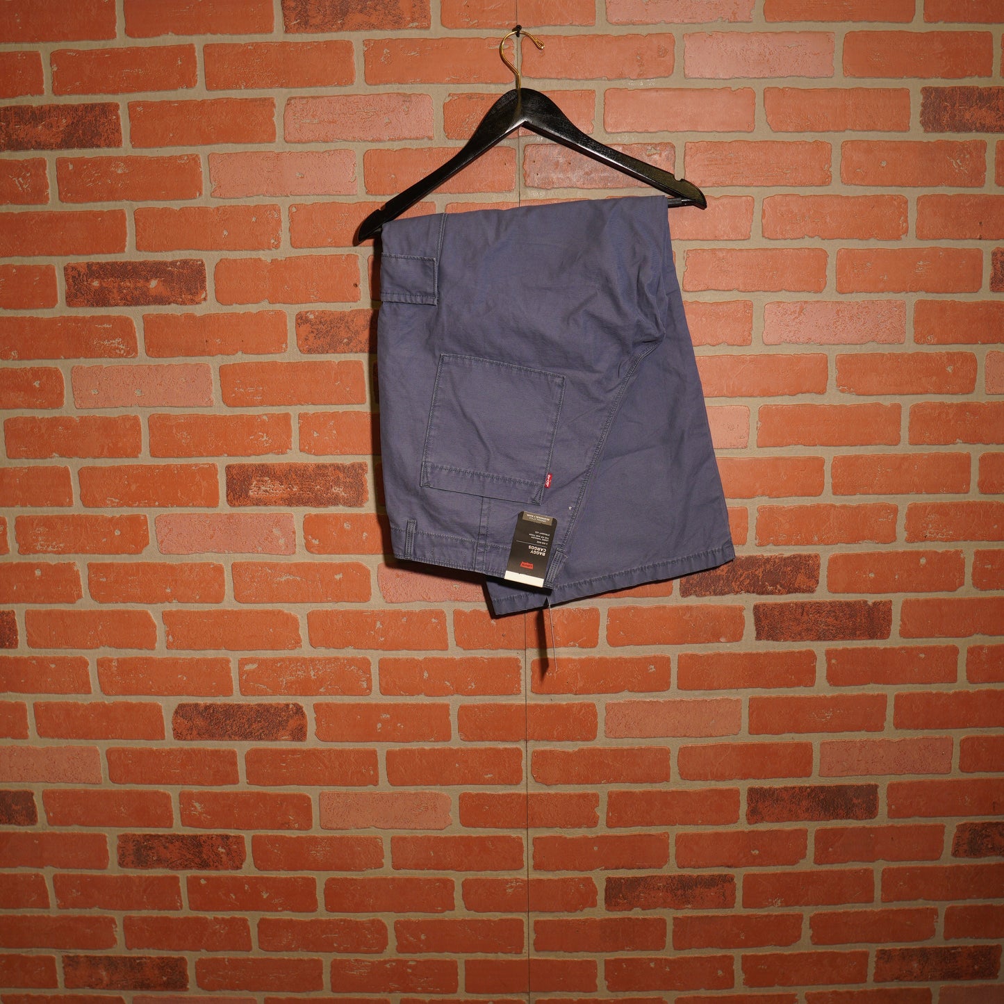 DS Levis Baggy Cargo Purple Pants