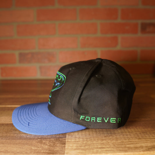 VTG 1994 DC Comics Batman Forever Ridder Snapback Hat