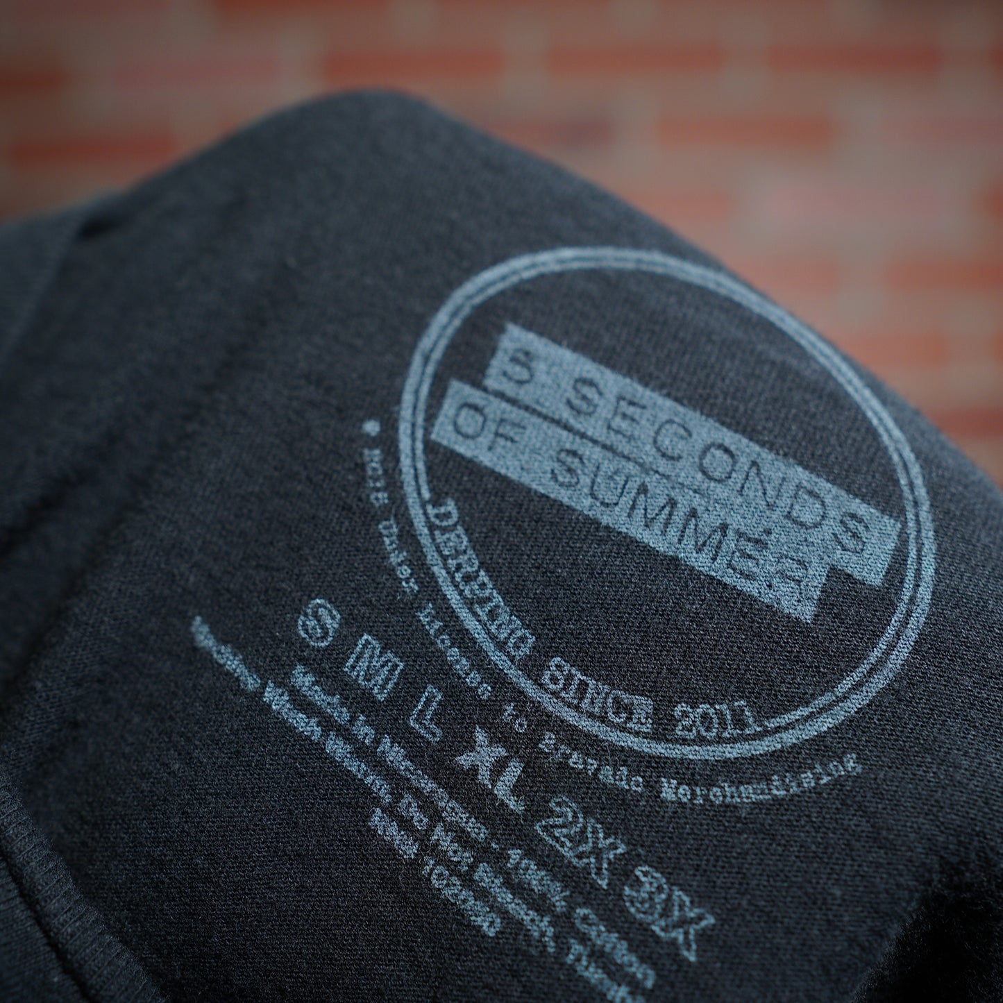 5 Seconds of Summer Band Tee (37)