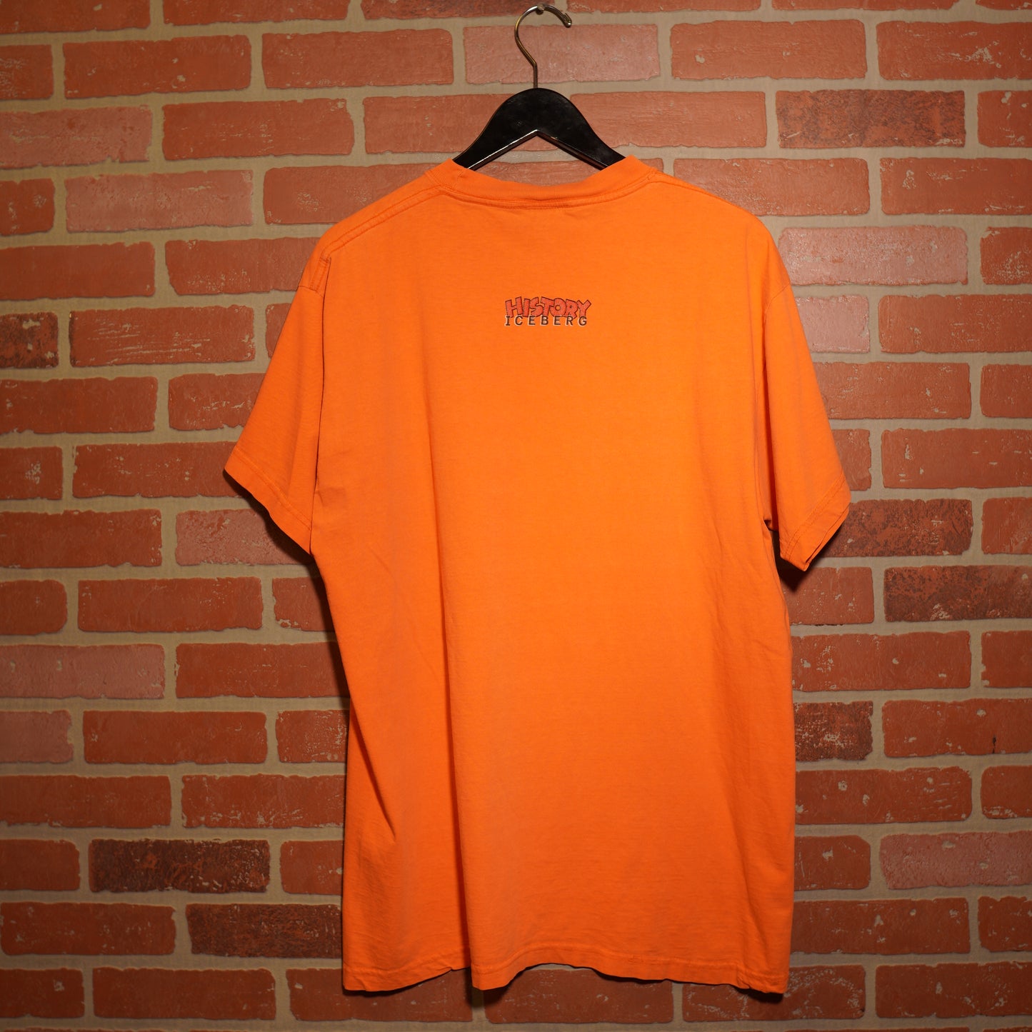 VTG Iceberg History Looney Tunes Tee