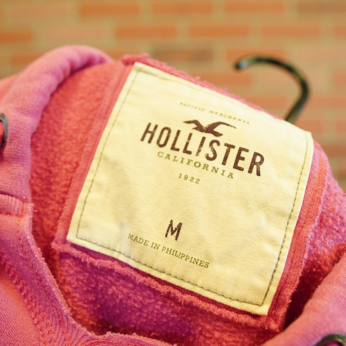 Women Hollister Hoodie Pink (38)