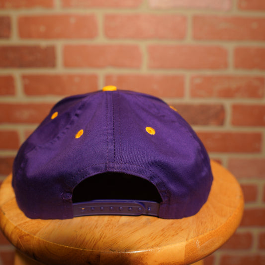 NBA Los Angeles Lakers Purple Snapback Hat