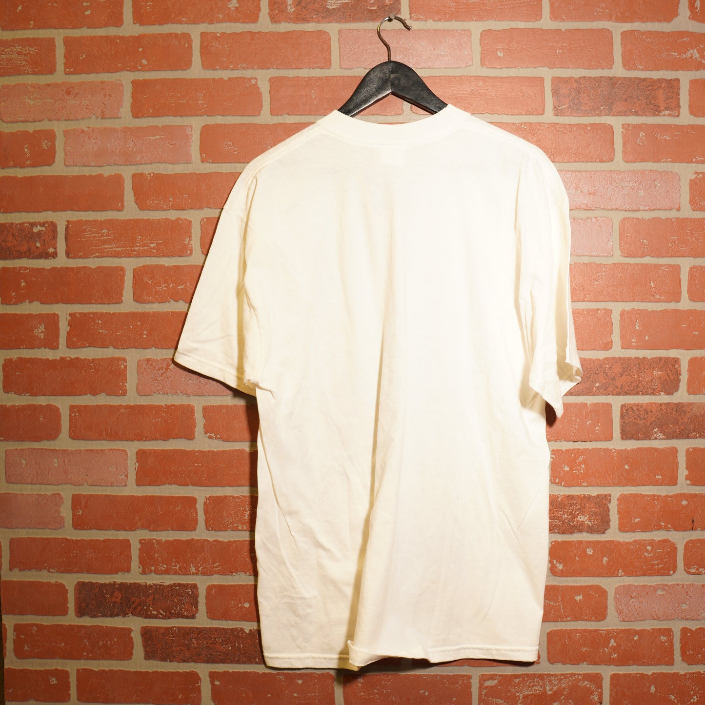 VTG Nascar Jeff Gordon 24 Driving Tee