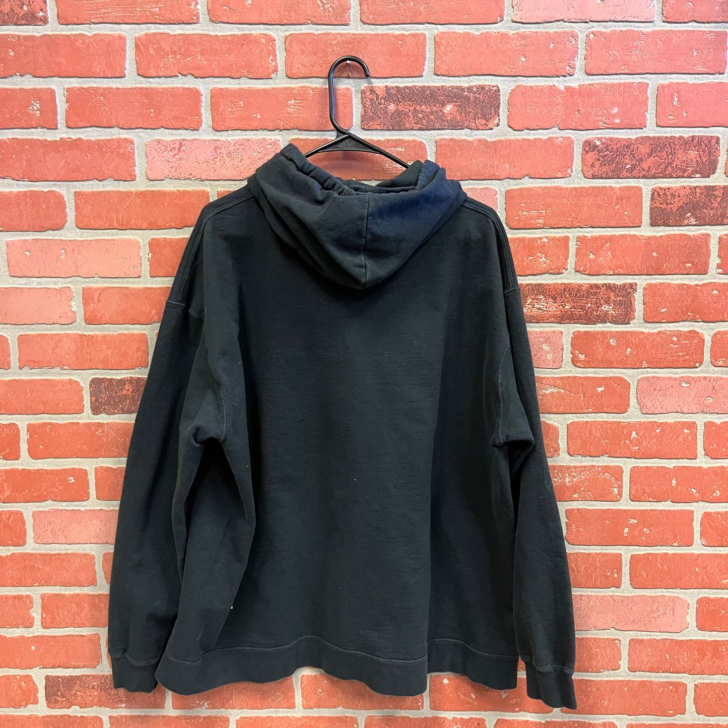 Lady And The Tramp Hoodie (31)