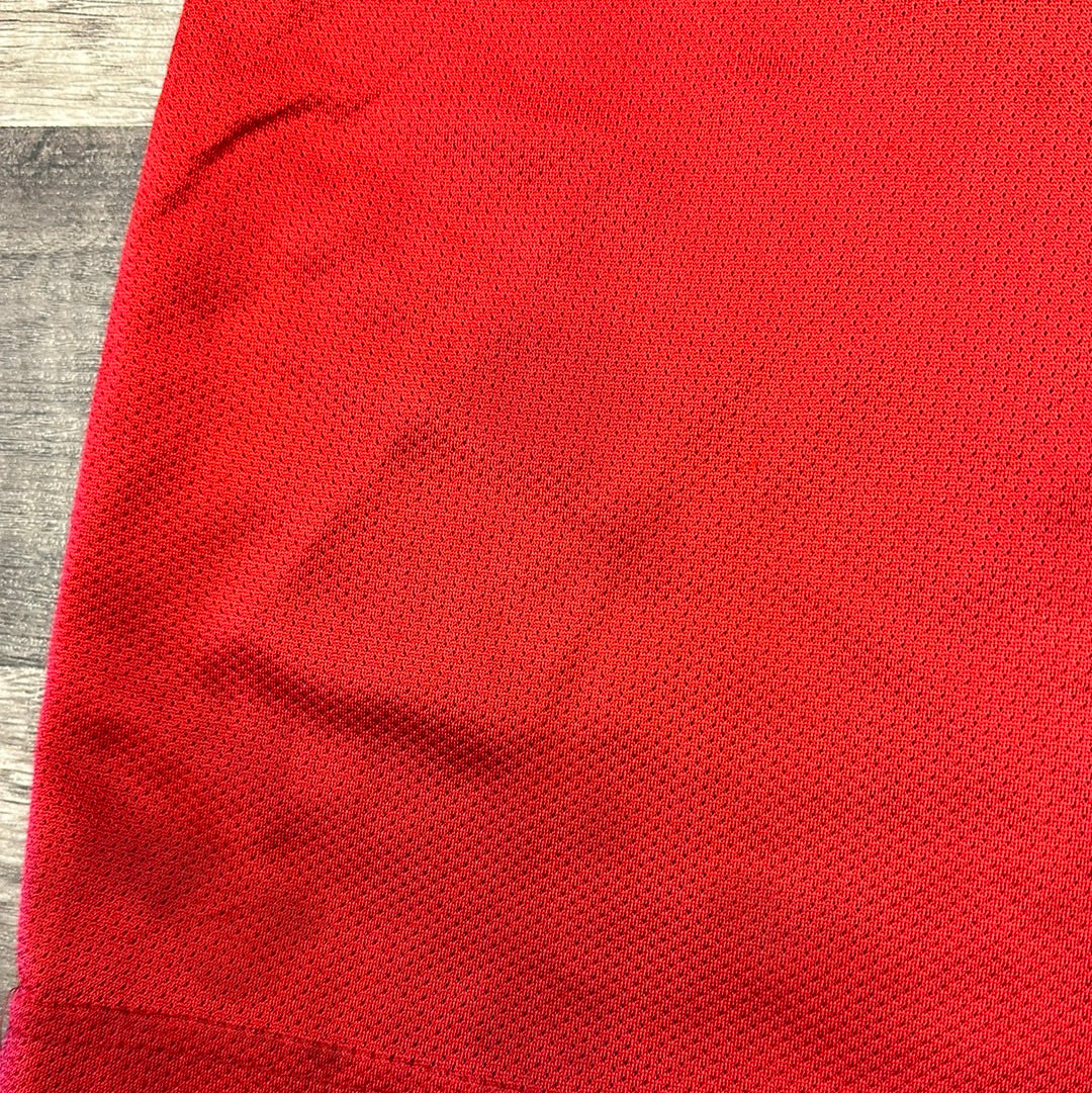 VTG Champion NBA Chicago Bulls Jordan #45 Jersey
