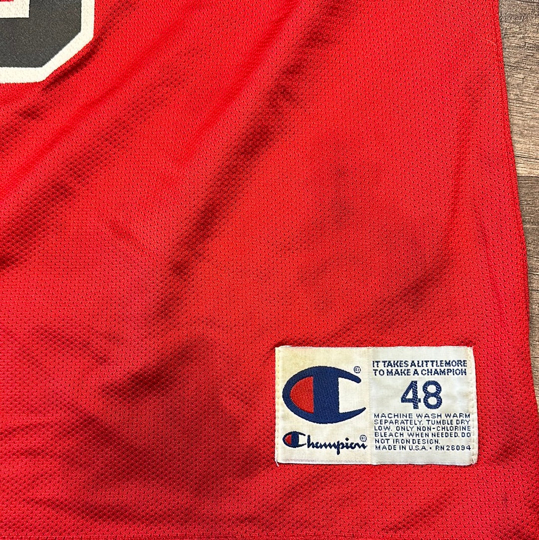 VTG Champion NBA Chicago Bulls Jordan #45 Jersey
