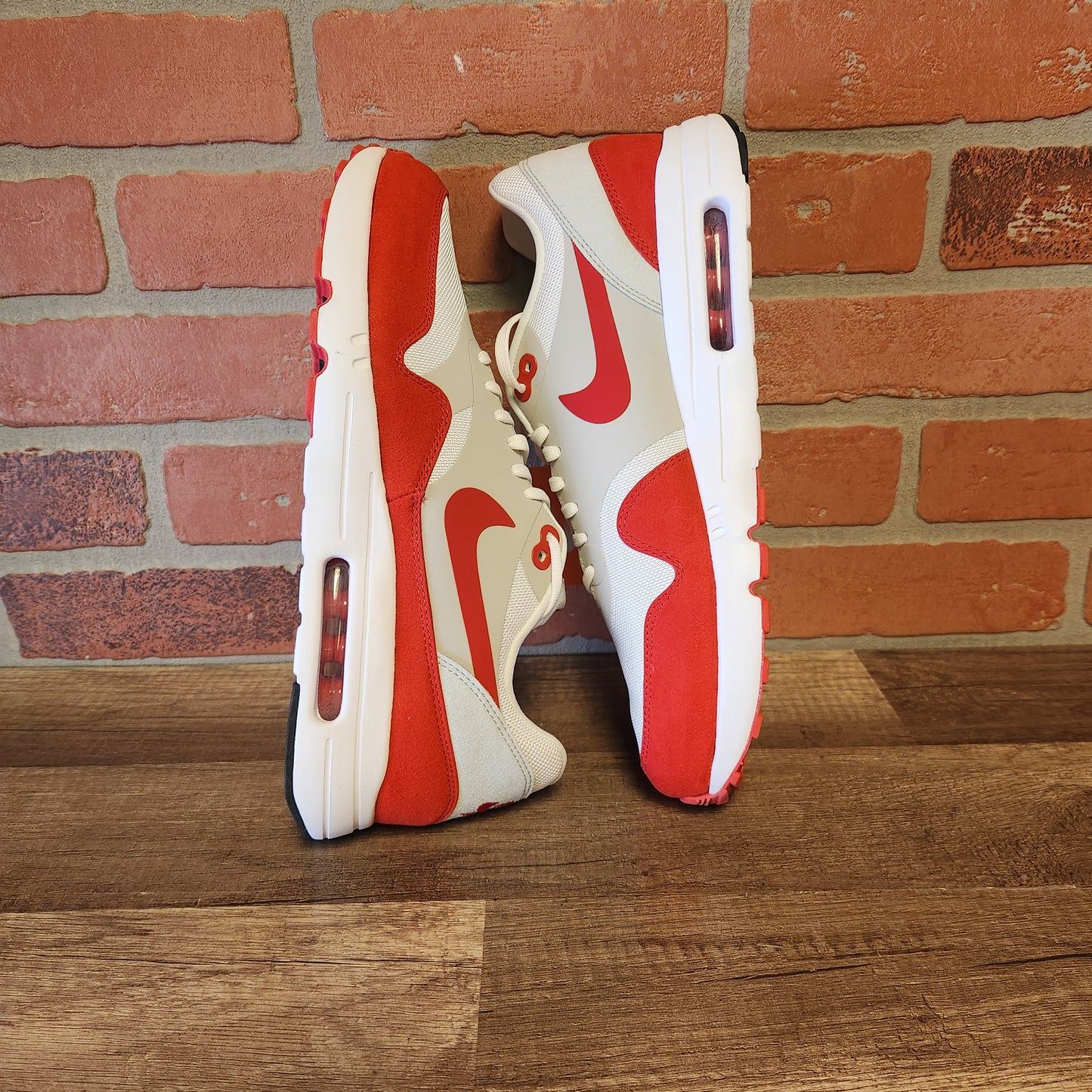 DS Nike Air Max 1 Ultra Air Max Day