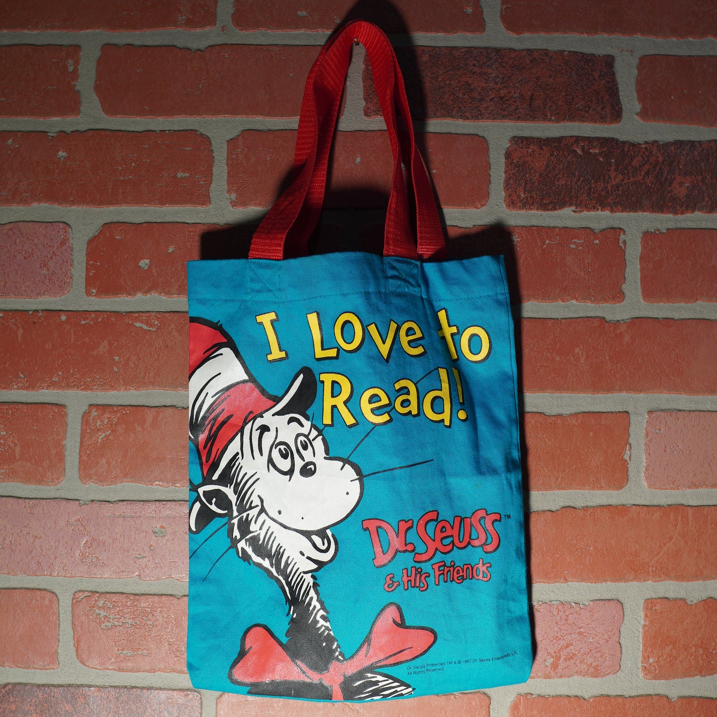VTG 90's Cat In The Hat "I Love To Read" Small Tote Bag Yesterday's Fits