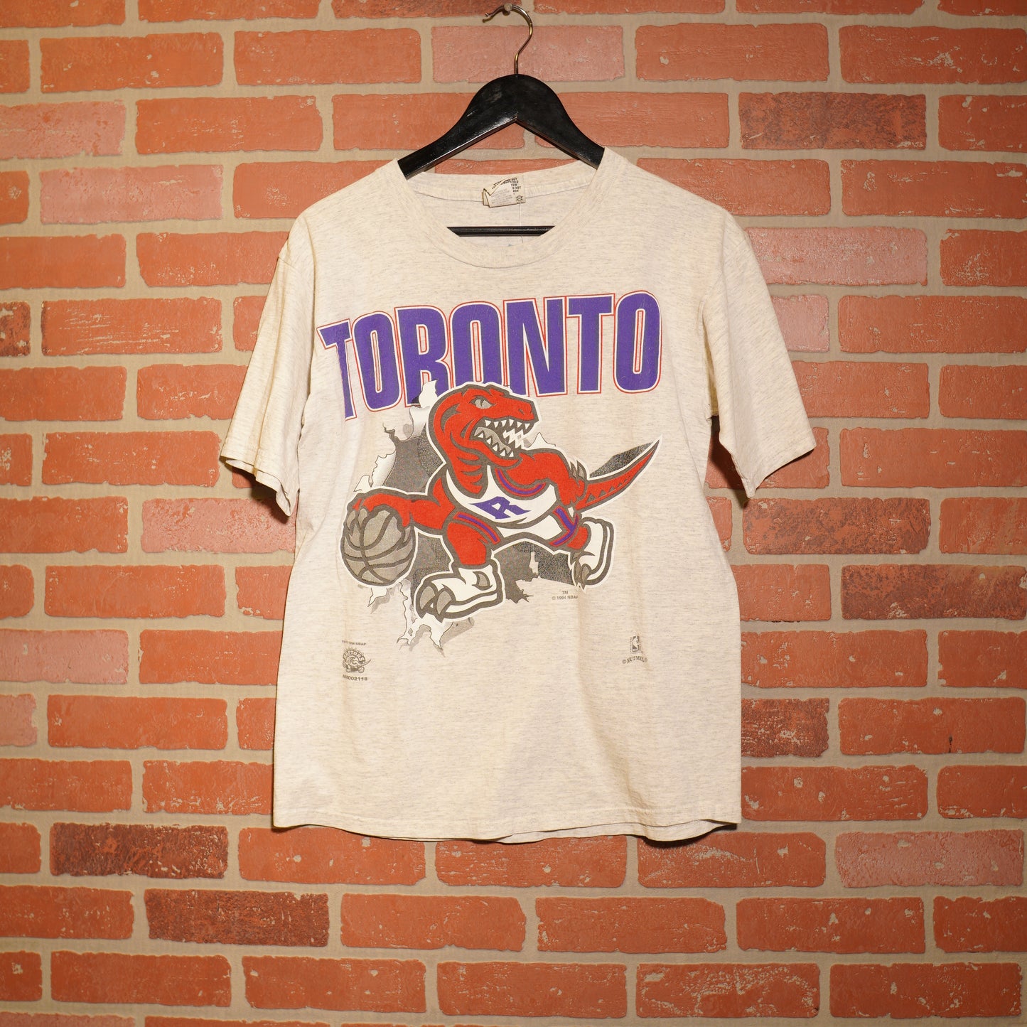 VTG NBA Toronto Raptors Logo Tee