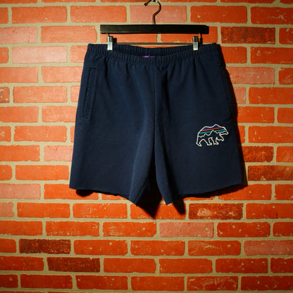 Patagonia Navy Bear Sweatshorts