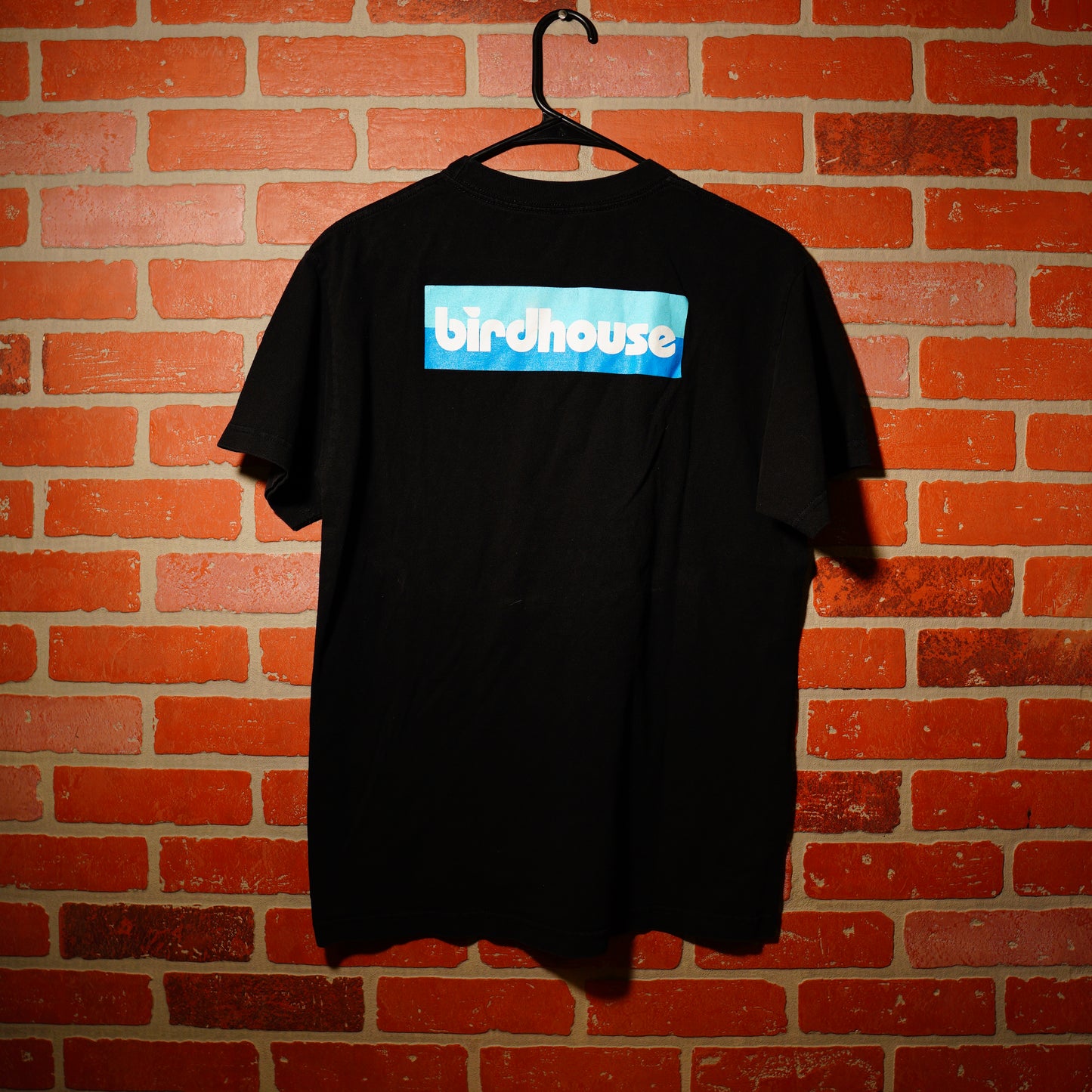 VTG Birdhouse Blue Logo Tee