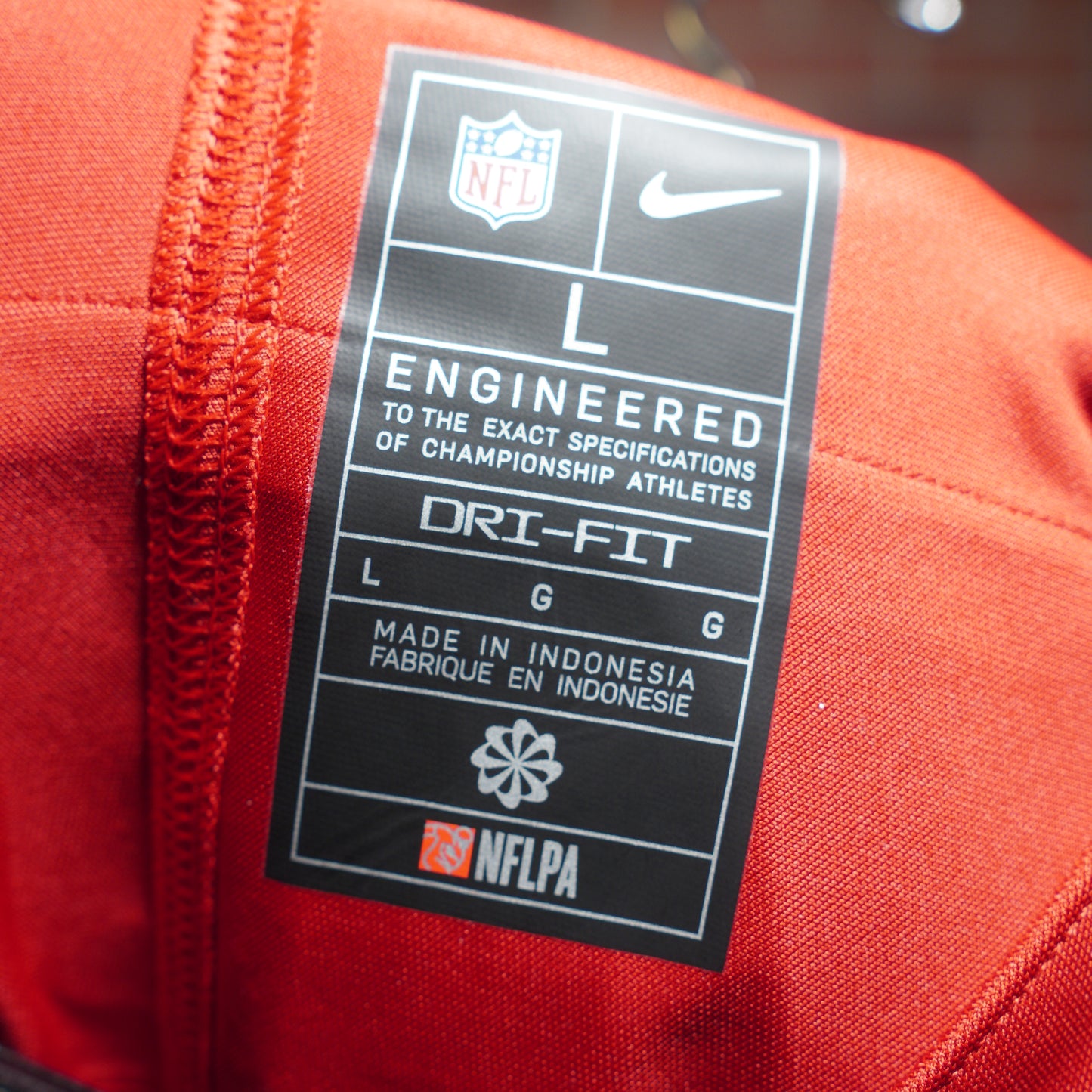 NFL Nike San Fransisco 49ers Young Jersey