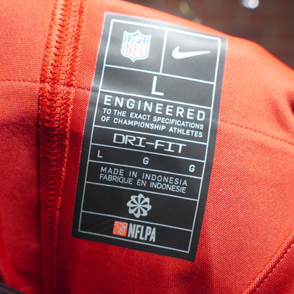 NFL Nike San Fransisco 49ers Young Jersey