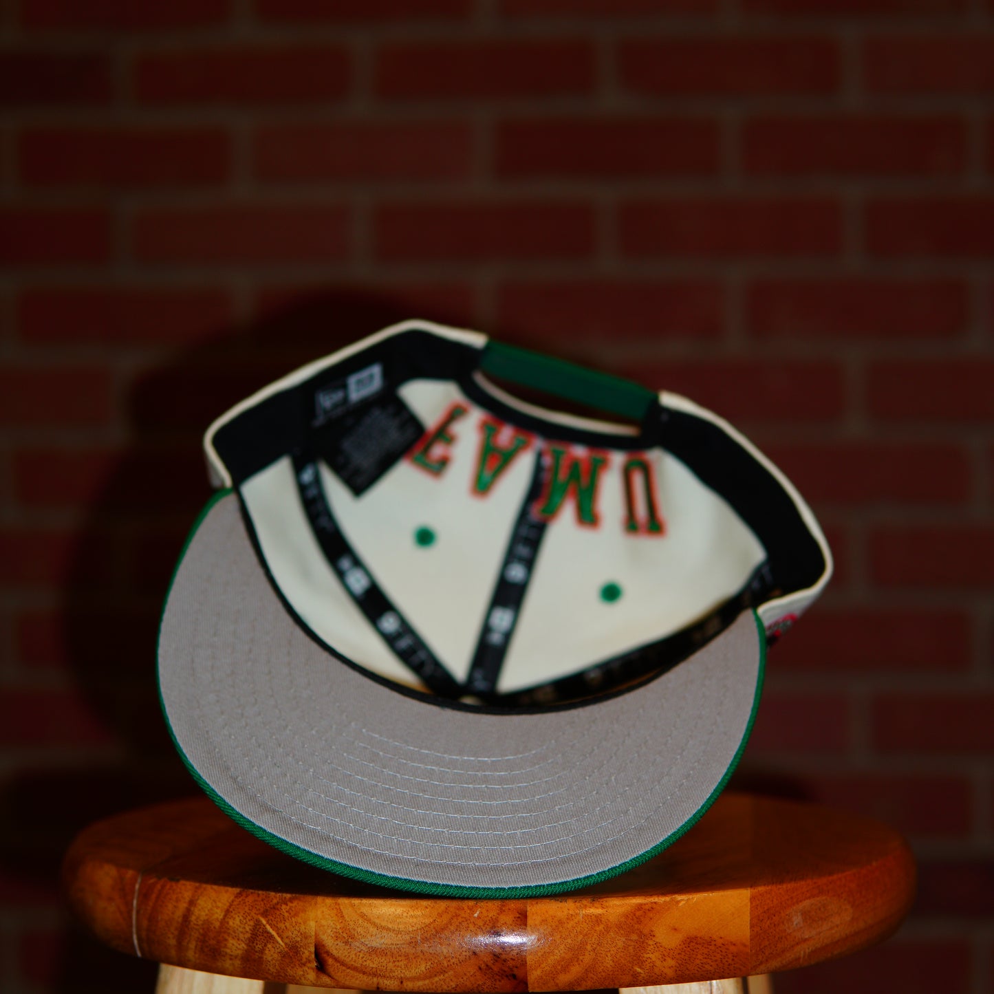 Florida A&M University Rattlers Snapback Hat