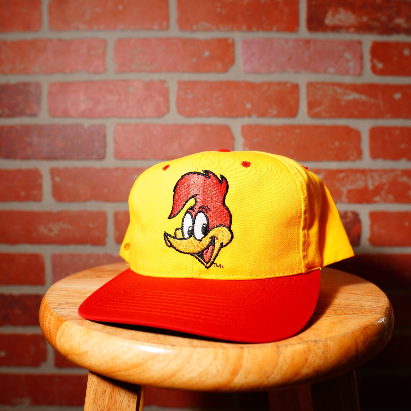 VTG Woody Woodpecker Snapback Hat