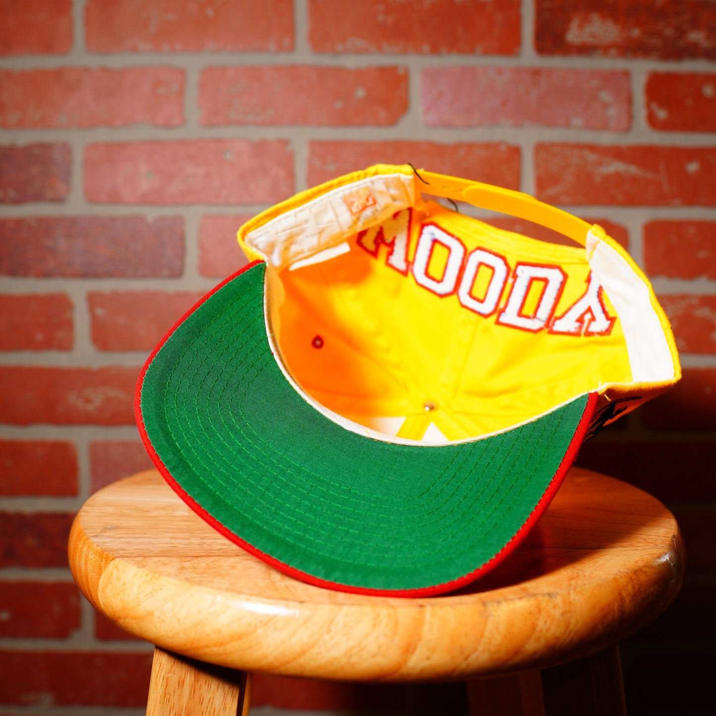 VTG Woody Woodpecker Snapback Hat