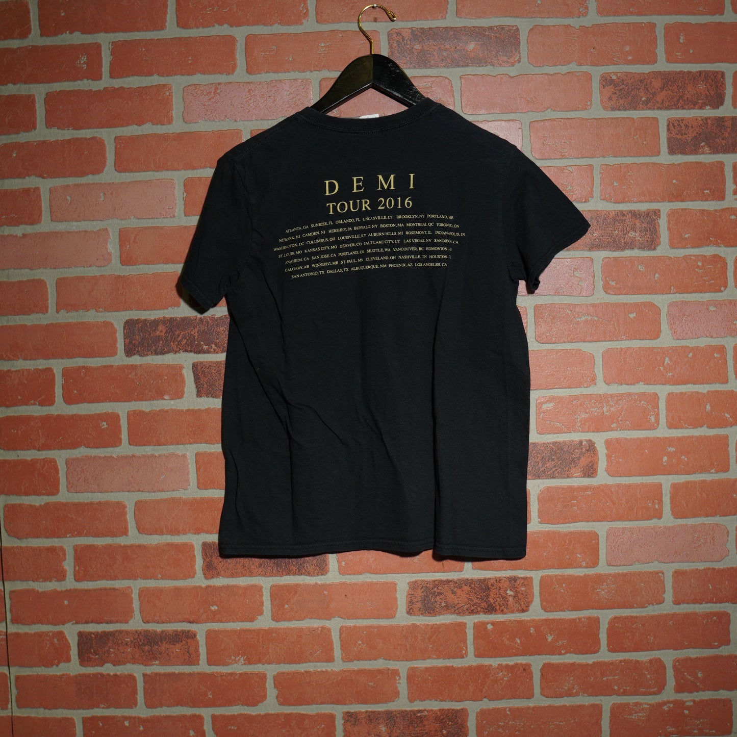 2016 Demi Lovato Tour Tee (25)