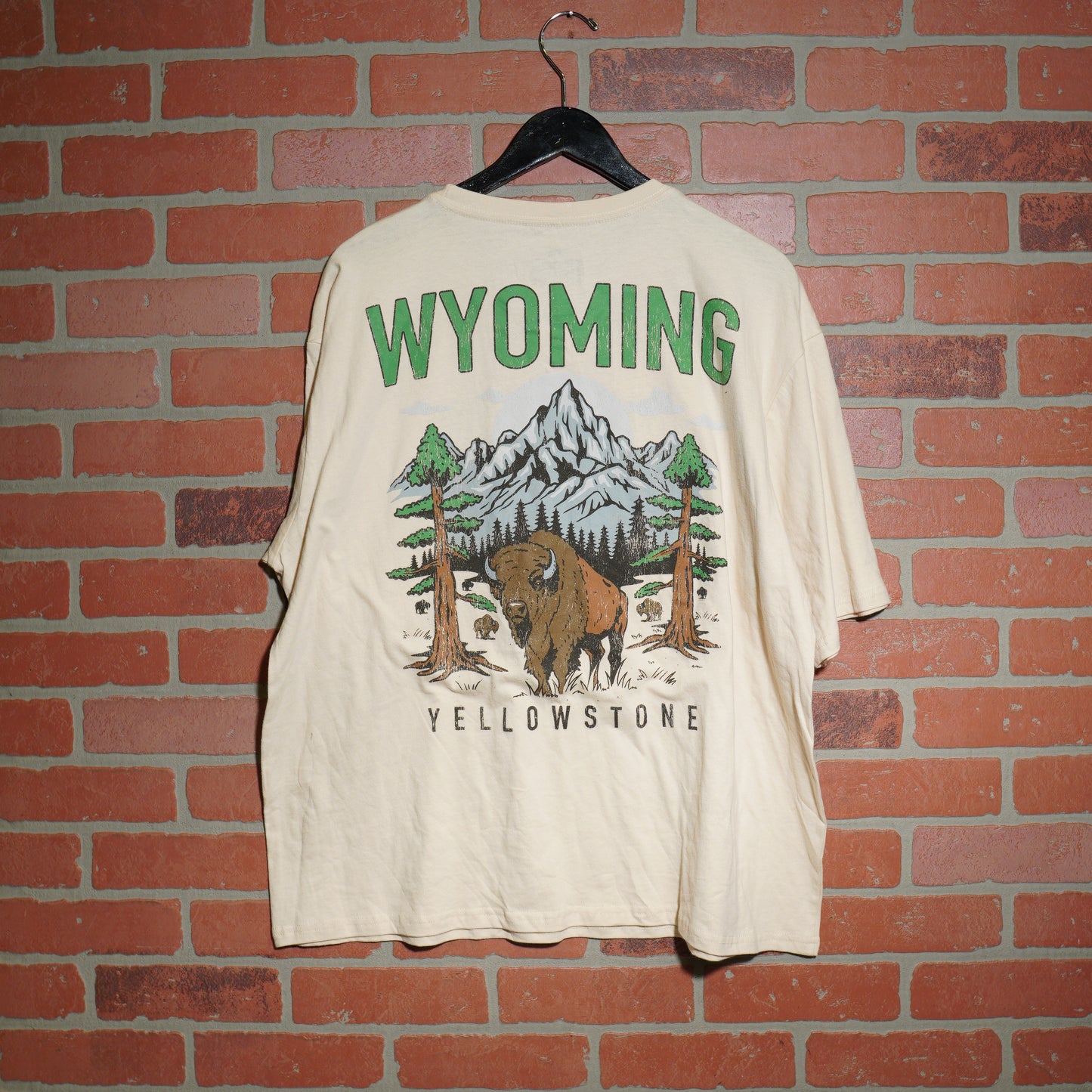Wyoming Yellowstone Tee (25)