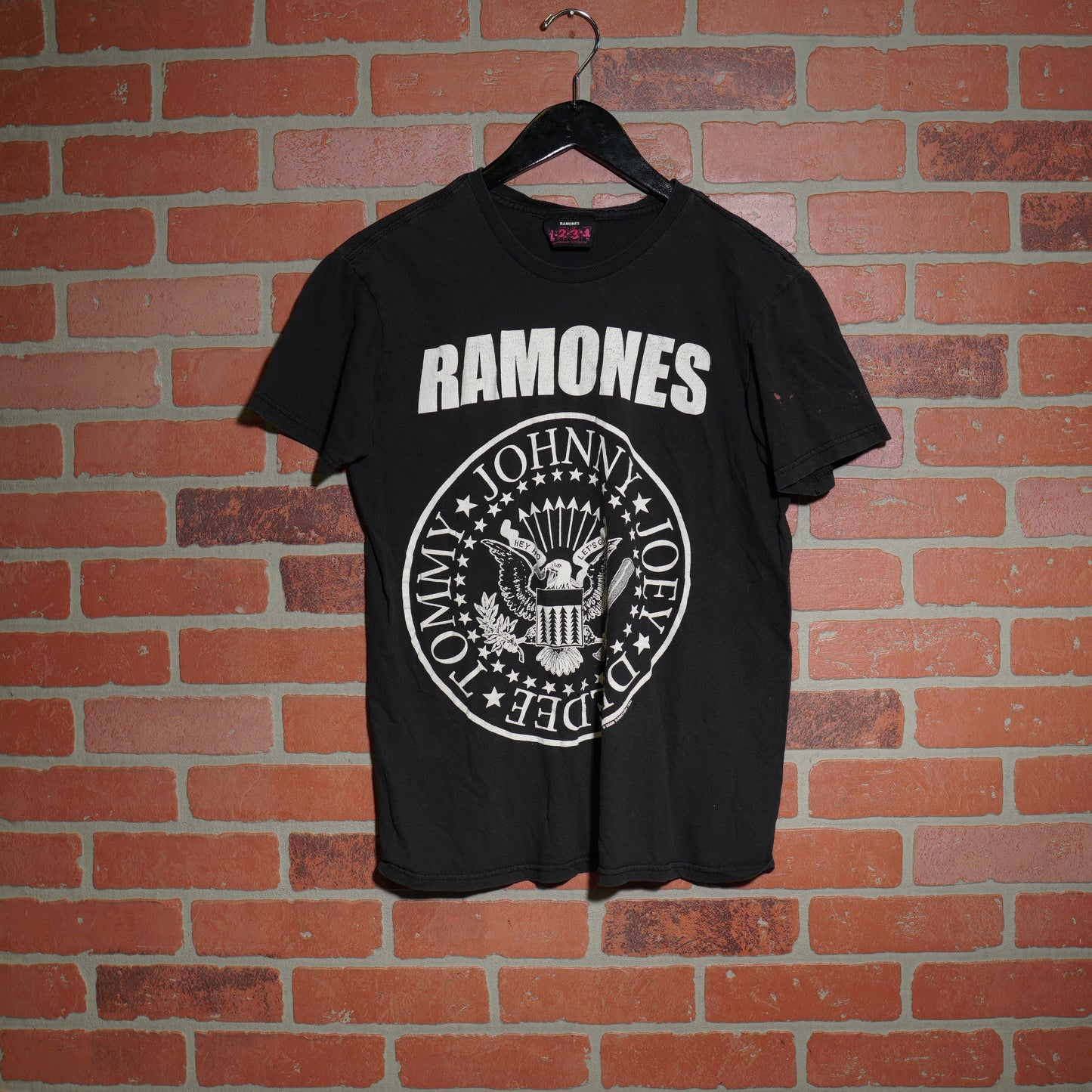 VTG Ramones 2008 Seal Tee (25)