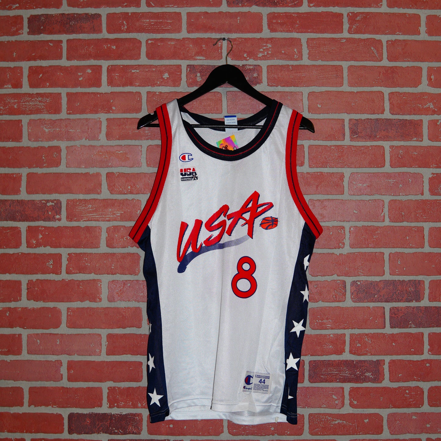VTG Champion Team USA Pippen Olympic Jersey