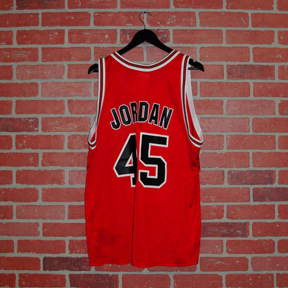 VTG Champion NBA Chicago Bulls Jordan #45 Jersey