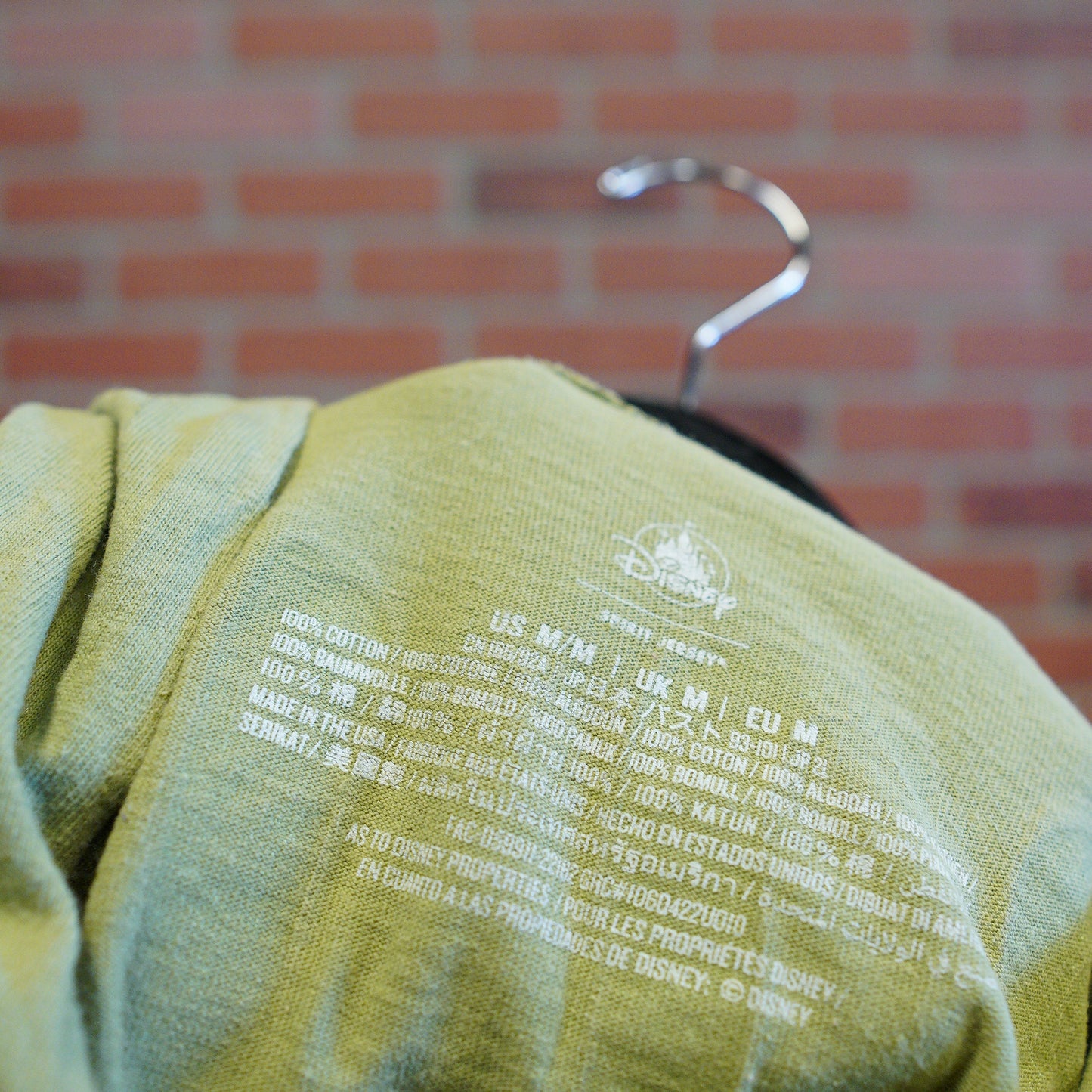 Disney Encanto Spirit Jersey Hoodie (34)