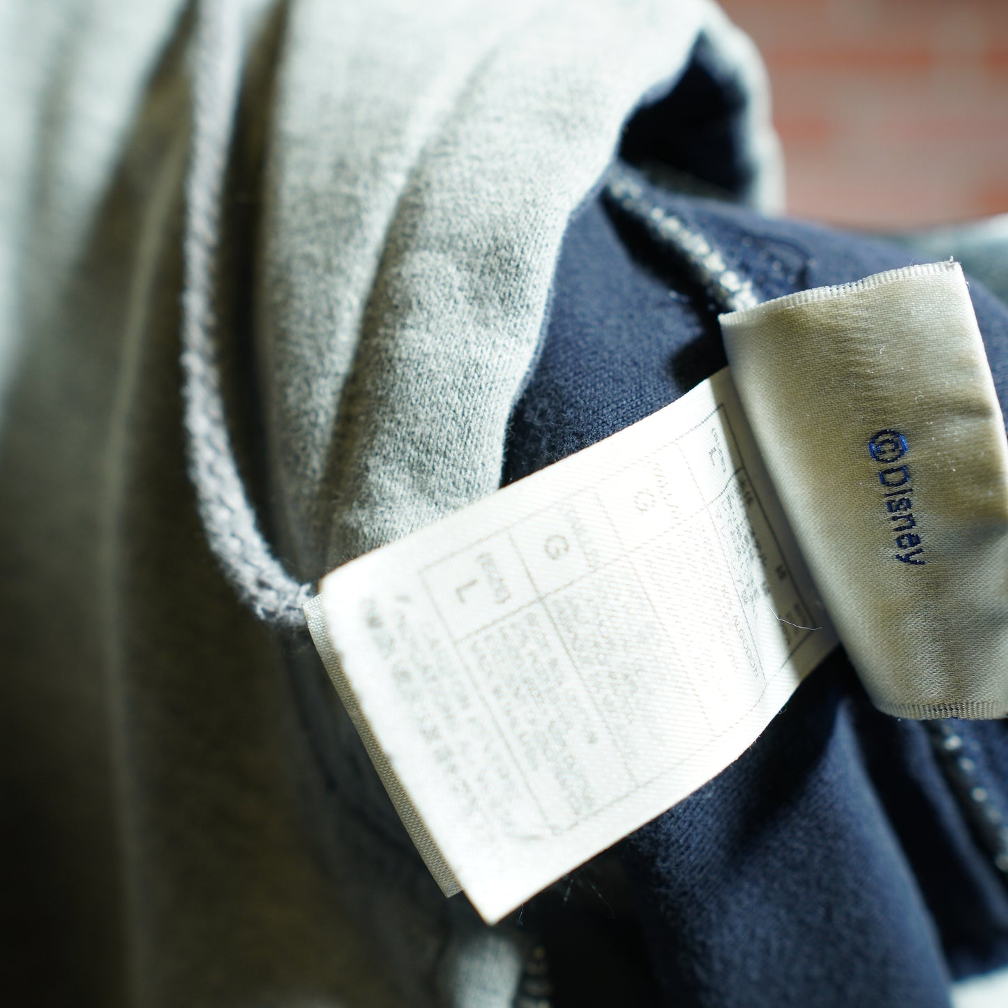 Disneyland Zip-UP Grey Hoodie (39)