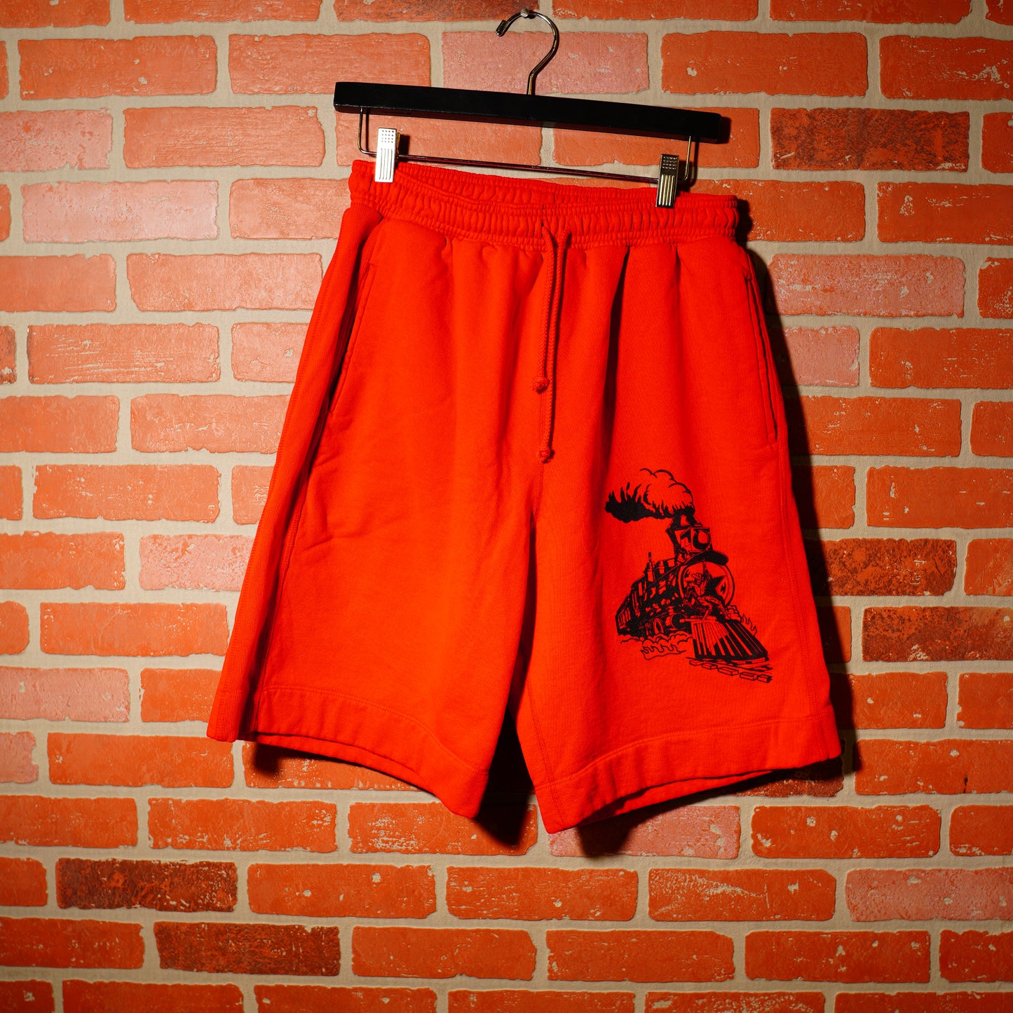 Warren Lotas Train Shorts