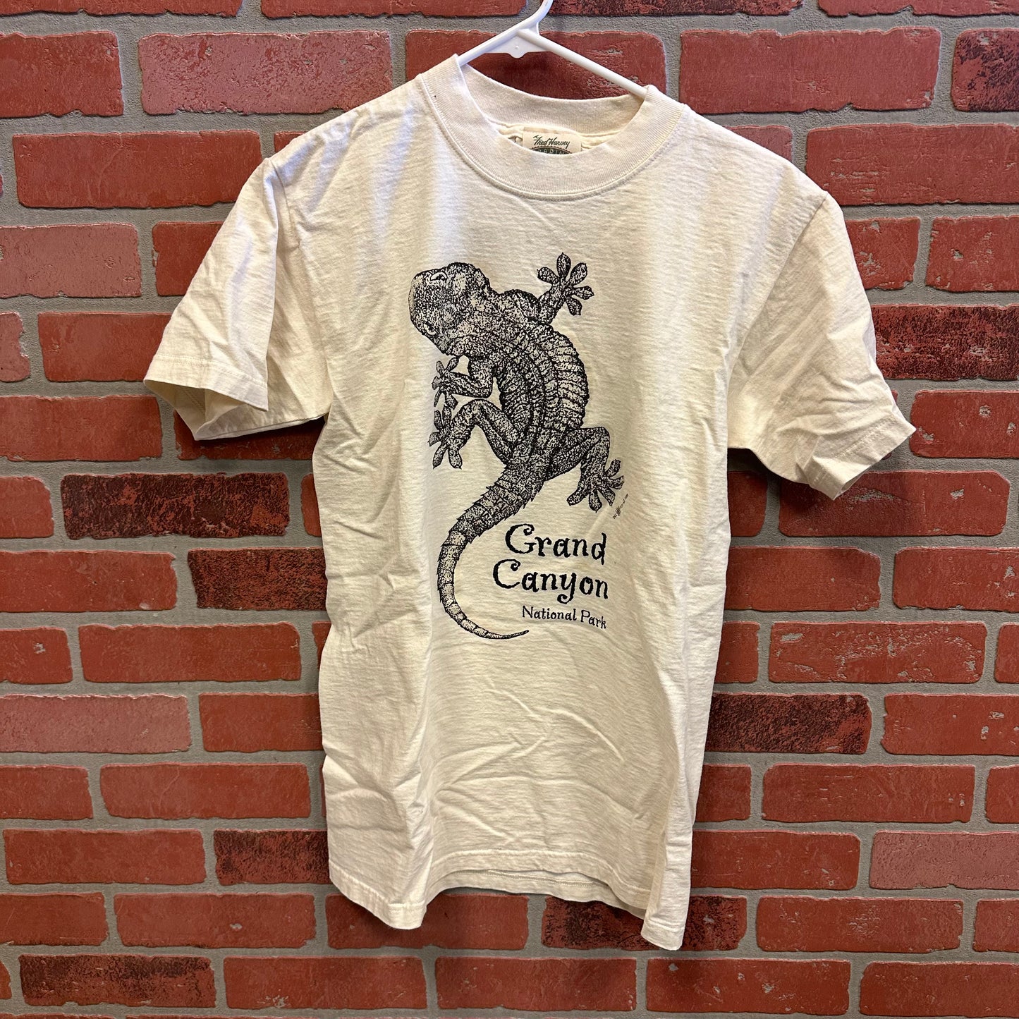 VTG Grand Canyon Tee (27)