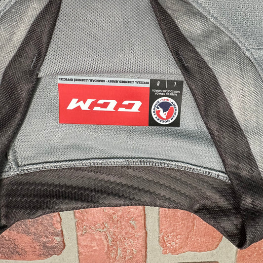 DS NWT AHL Henderson Silver Knights Hockey Jersey