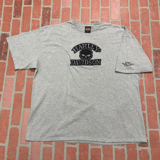 VTG Y2K Harley-Davidson Skull Logo Tee Yesterday's Fits Clothing Fashion Vintage Streetwear Fashion Item