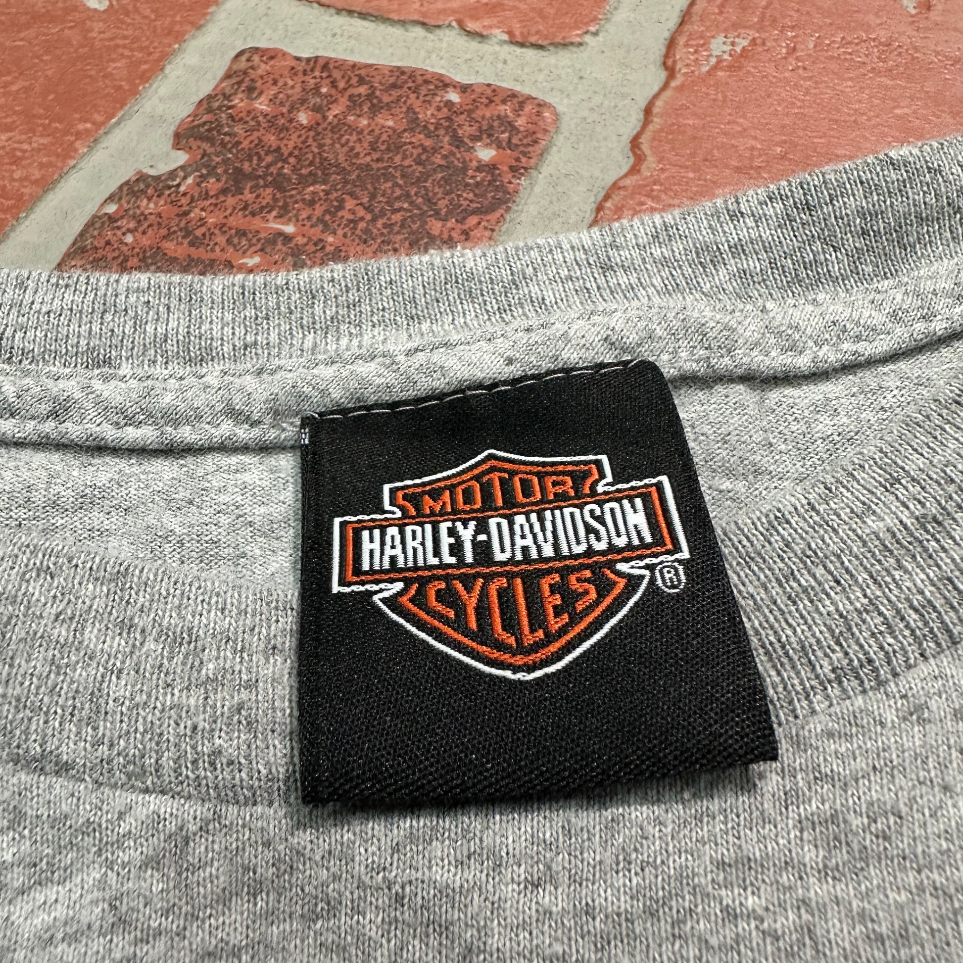 VTG Y2K Harley-Davidson Skull Logo Tee Yesterday's Fits Clothing Fashion Vintage Streetwear Fashion Item