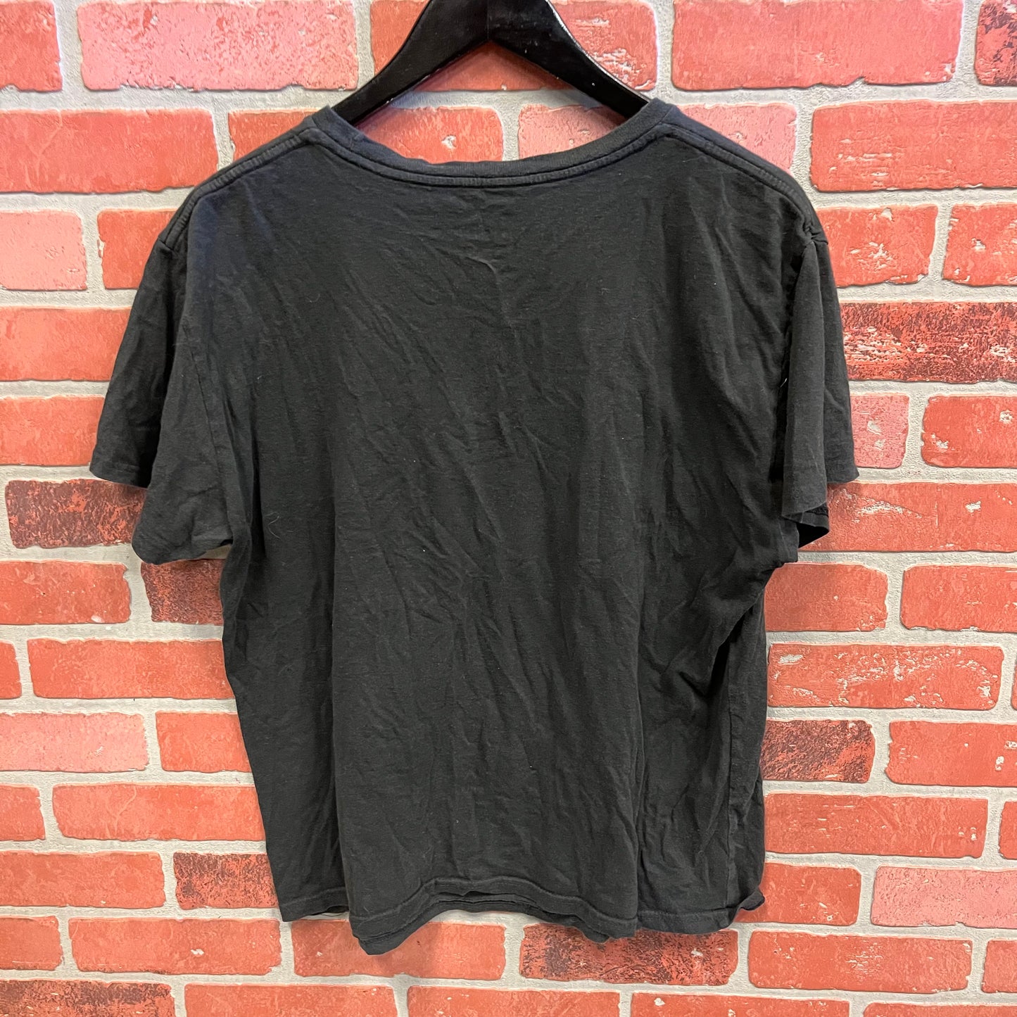 Twilight Movie Poster Tee (29)