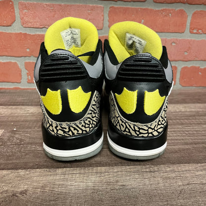 Air Jordan 3 Oregon PE