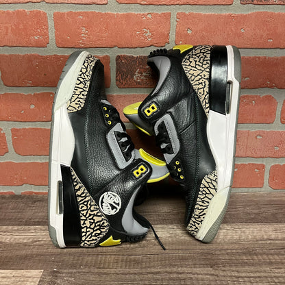 Air Jordan 3 Oregon PE